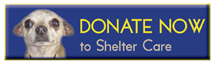 Donate Now to Shelter Care