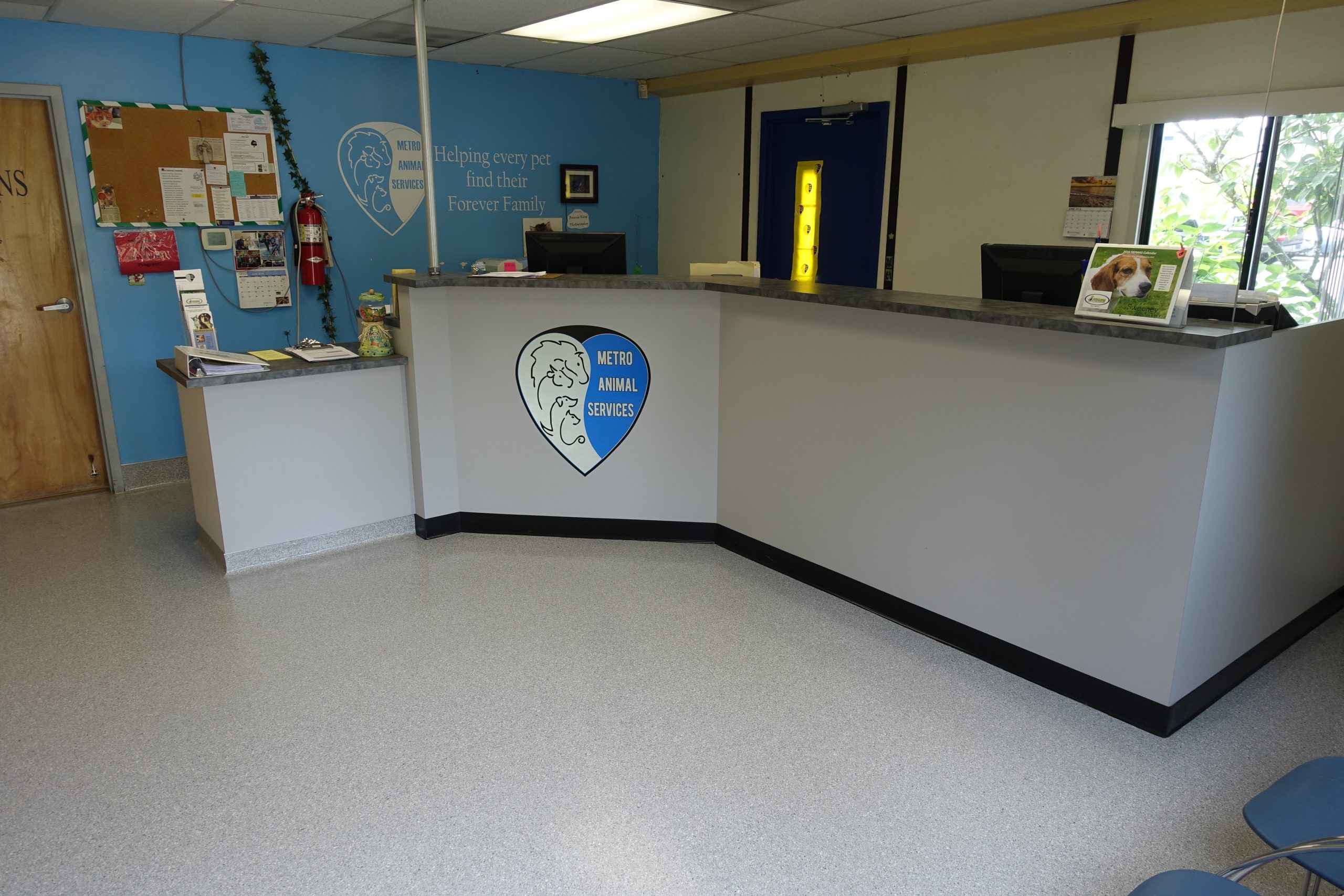 New Look For Our Shelter
