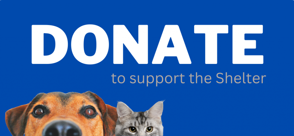 Donate to support the Shelter